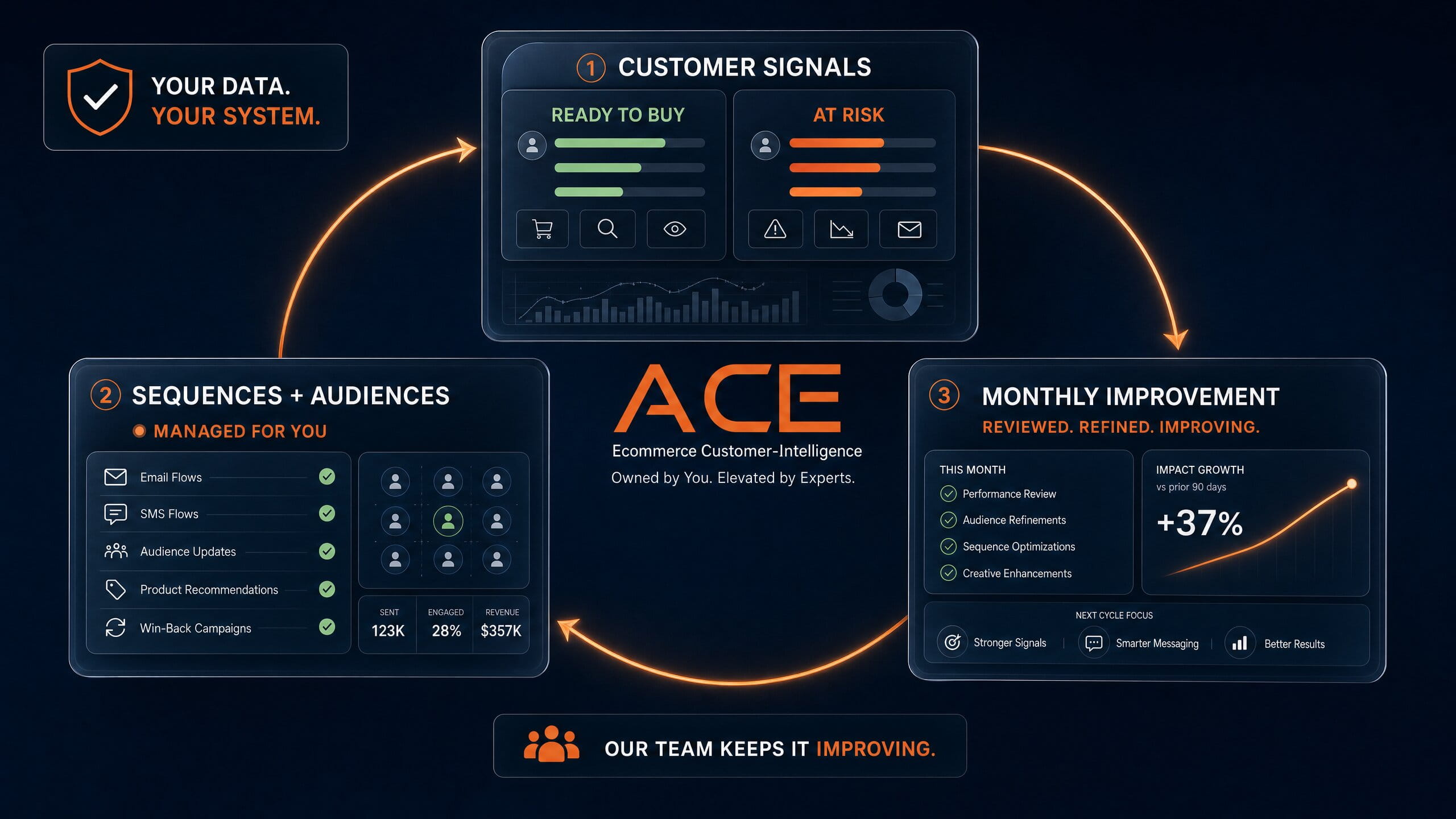 ACE customer intelligence system showing customer signals, managed sequences and audiences, and monthly improvement