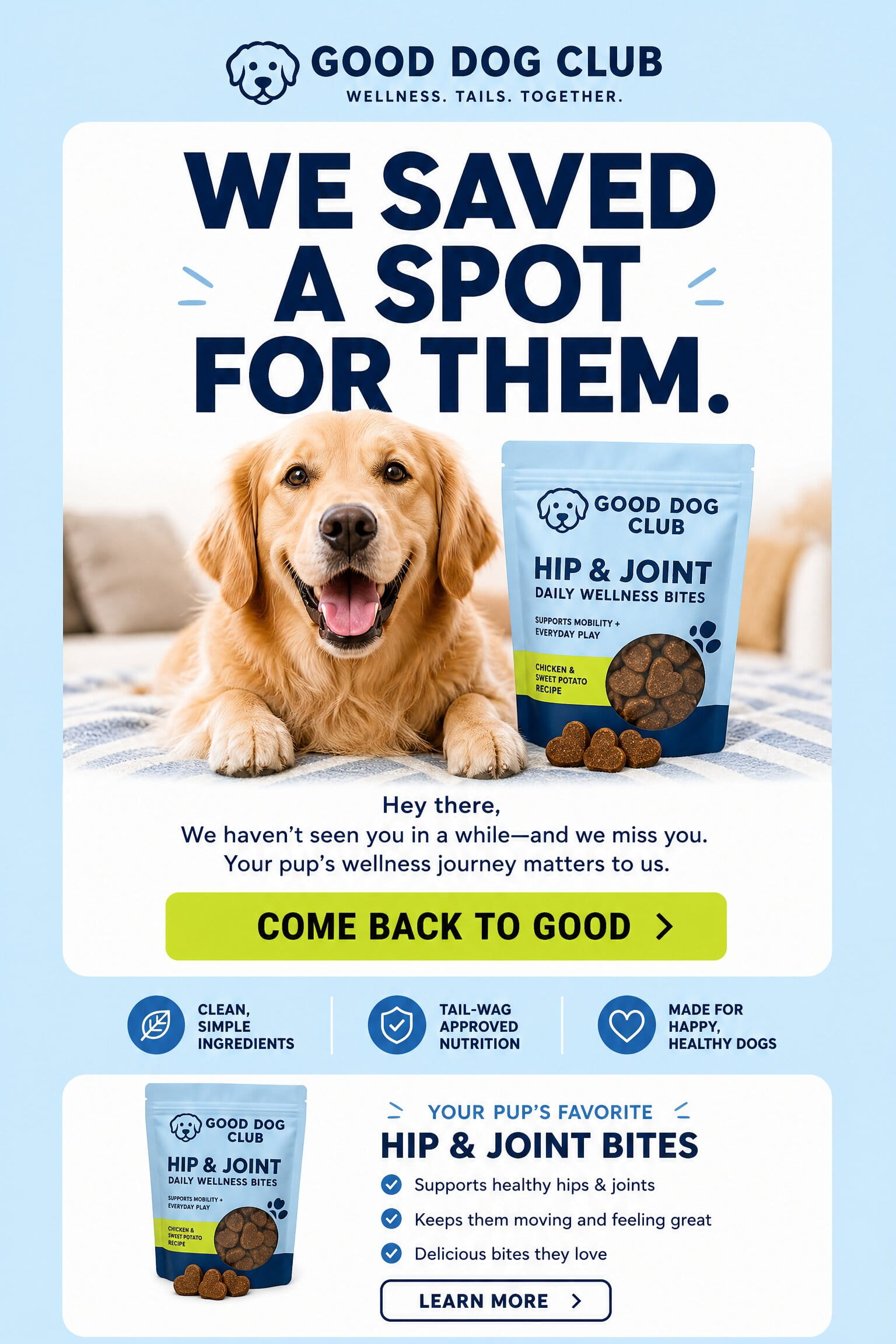Illustrative win-back email concept for a pet wellness brand